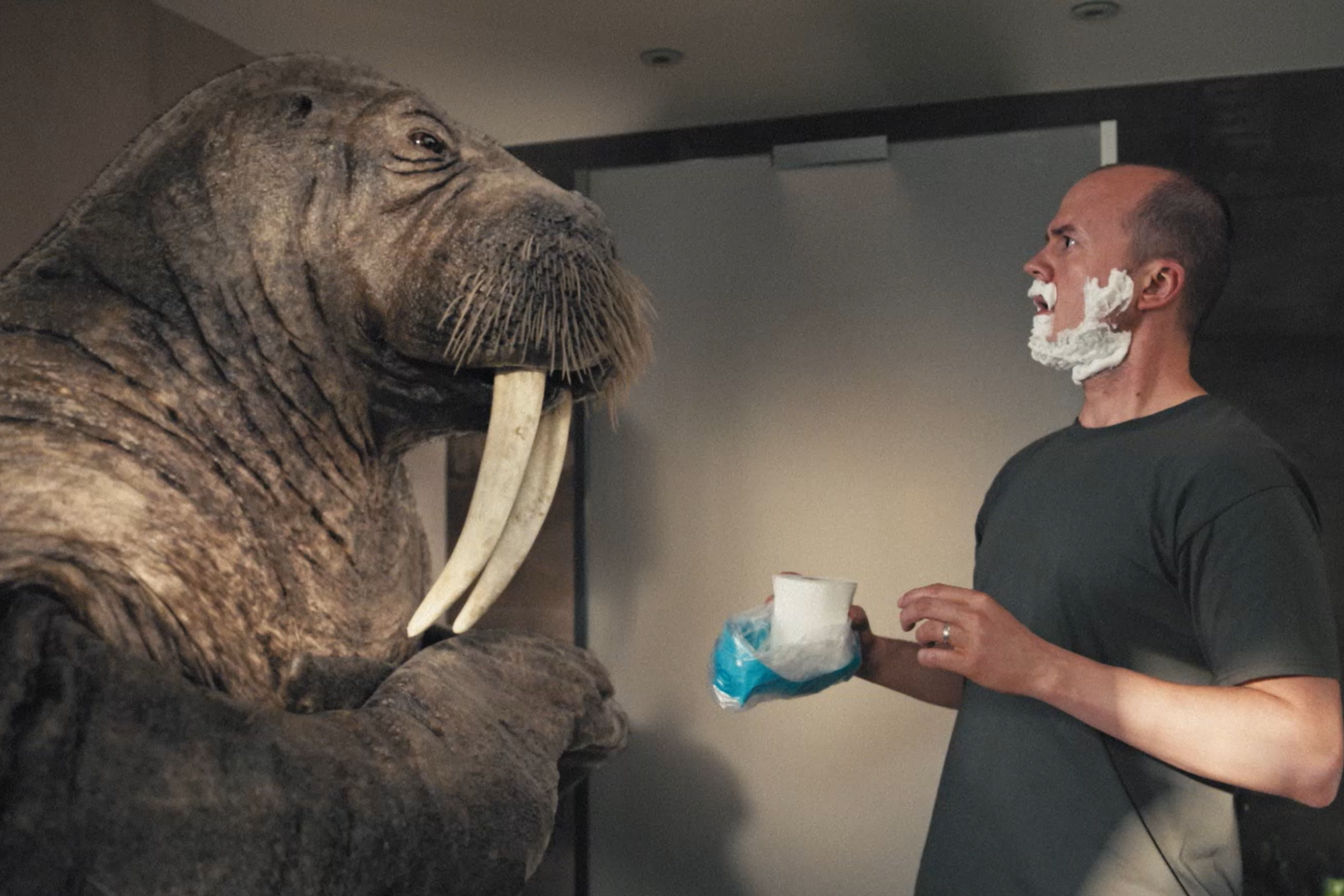 Oceans TV Ad Campaign starring Walter the Walrus