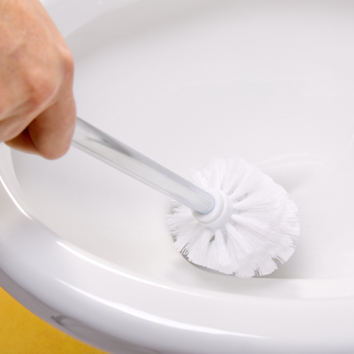 Someone cleaning a toilet bowl with a toilet brush.
