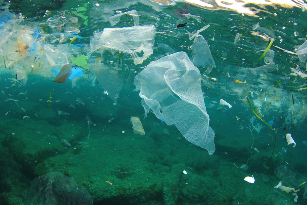 How can ocean pollution affect humans? - My Oceans