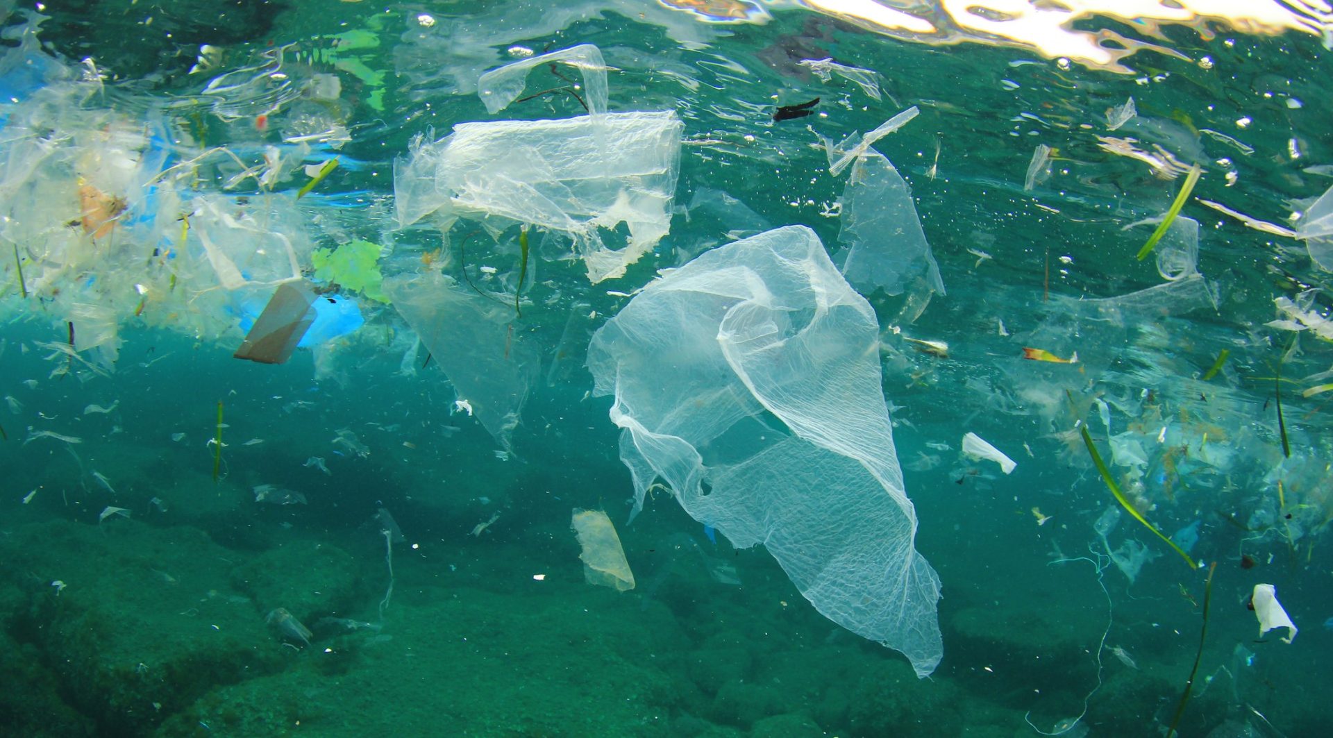 ocean polluted with various pieces of plastic