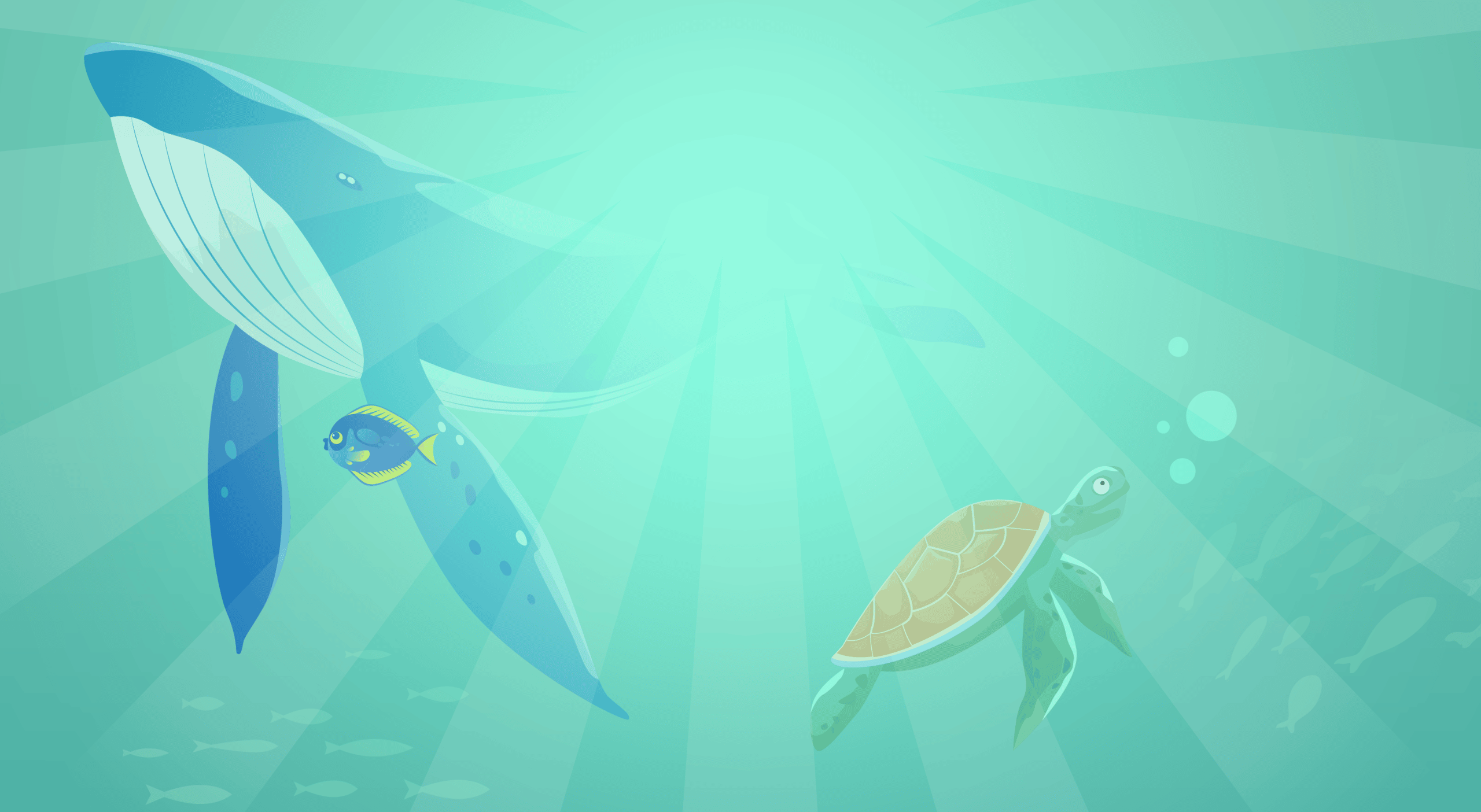 illustration of whale, turtle, and fish swimming in the sea