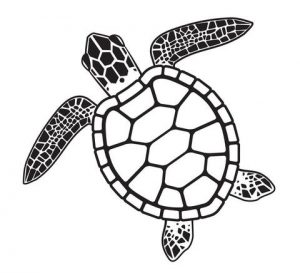 Turtle colouring-in sheet